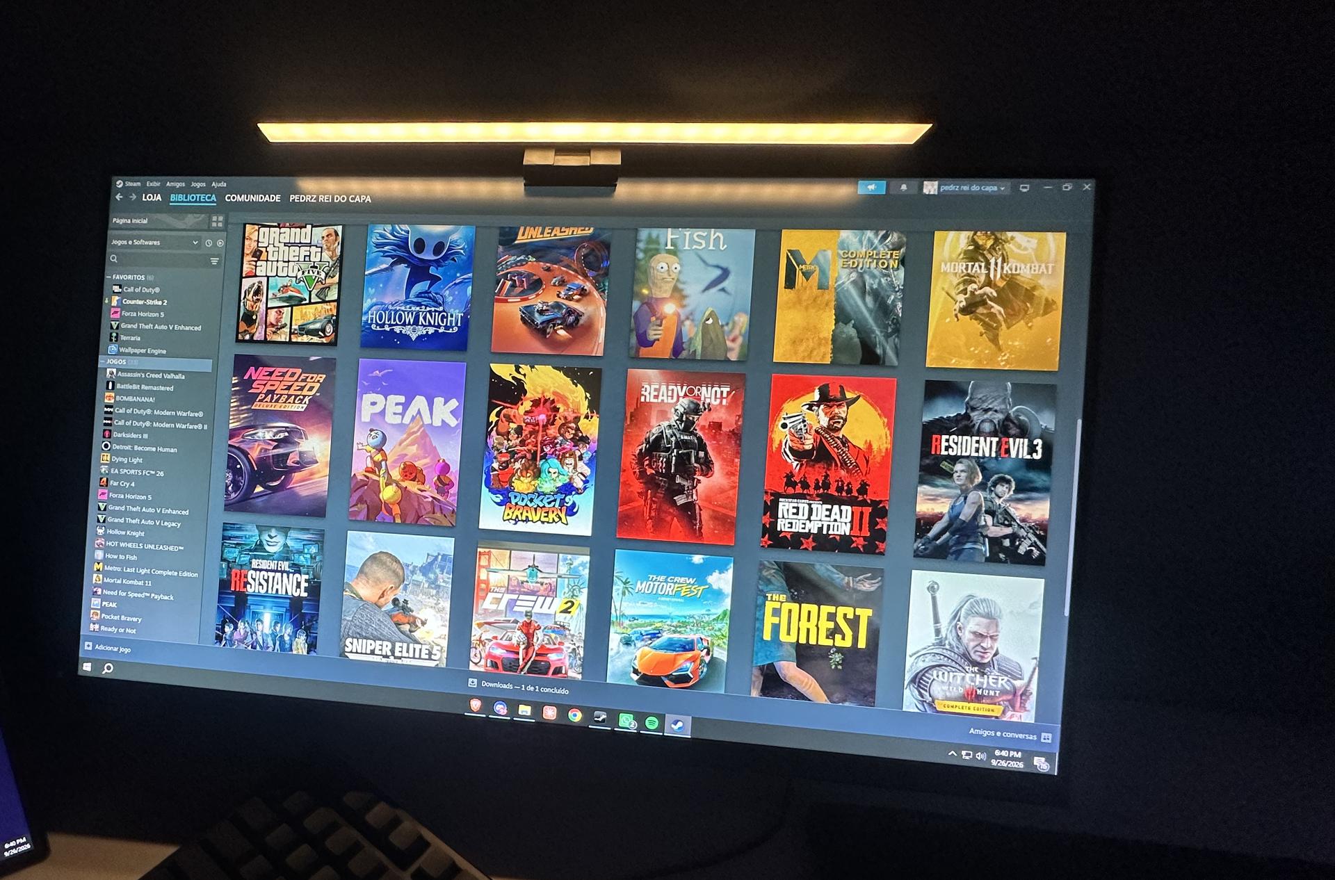 Biblioteca da Steam cheia de jogos em um monitor
